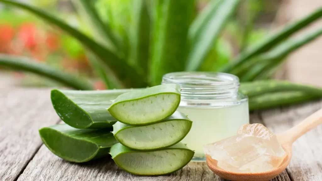 Aloe vera for skin